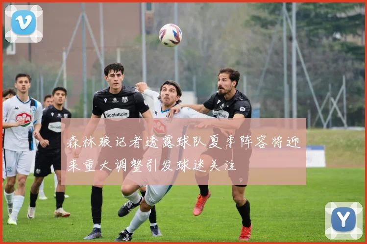 森林狼记者透露球队夏季阵容将迎来重大调整引发球迷关注
